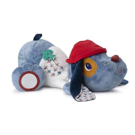 Jules grand chien activites